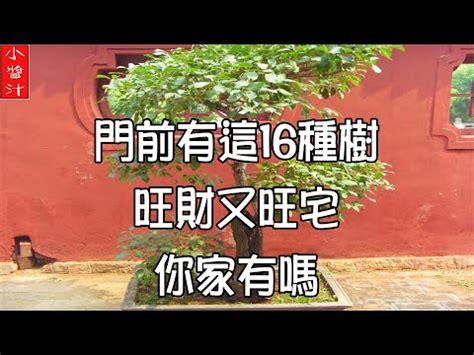 門口左右 邊種樹|大門口左邊有大樹好不好 門前種什麼樹好